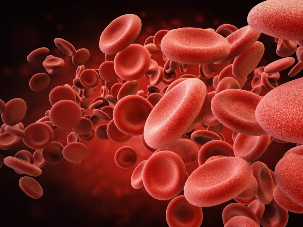 image of red blood cells